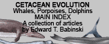 Cetacean Evolution (Whales, Porpoises, Dolphins)