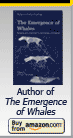 Emergence of Whales