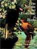 Origins of Birds