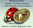 Contact Webmaster