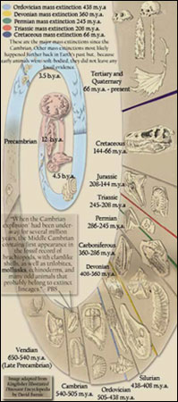 Geology Timeline