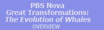 PBS Evolution