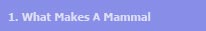 What Makes A Mammal