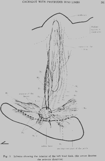 Figure 06